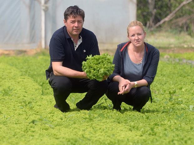 Пољопривредни шампион Београда: Никада више у канцеларију 